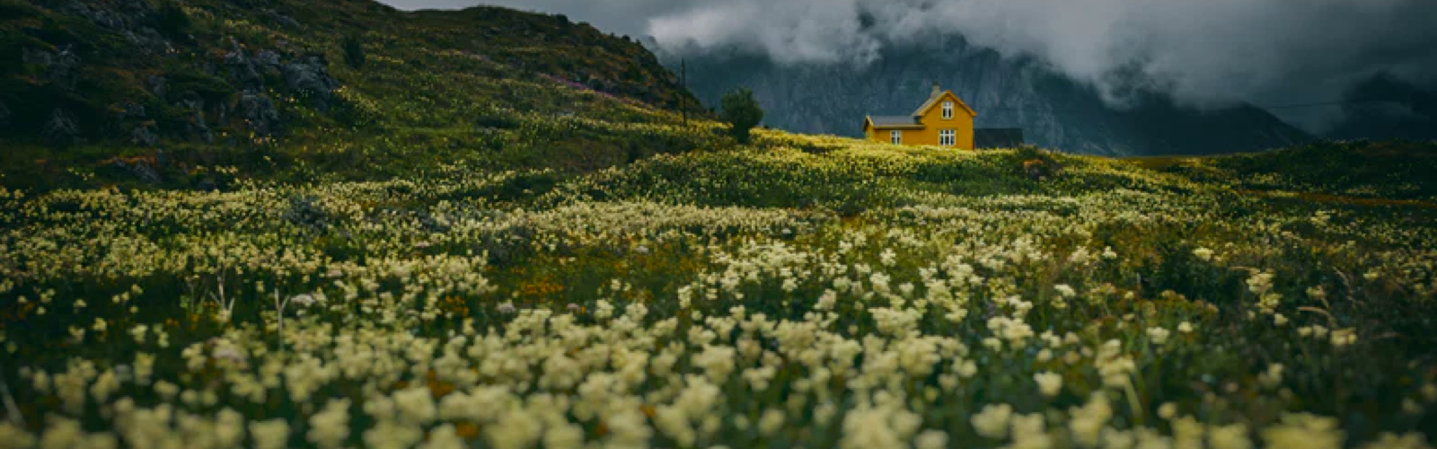 yellow house at the end of a grassy meadow, with mountains and mist in the background